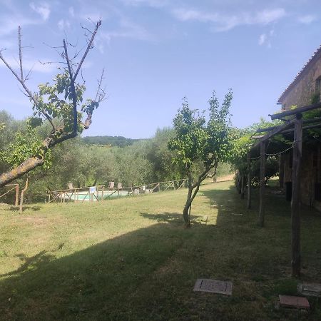 Borgo Villa A Tolli 德拉巴新堡 外观 照片