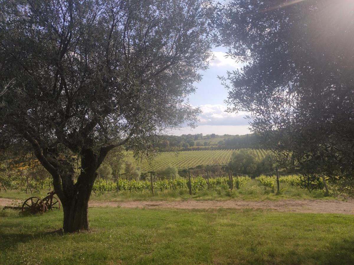 Borgo Villa A Tolli 德拉巴新堡 外观 照片