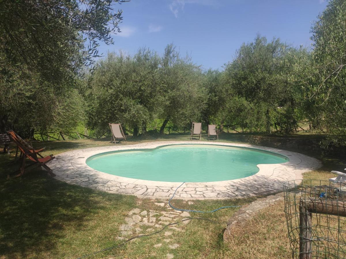 Borgo Villa A Tolli 德拉巴新堡 外观 照片